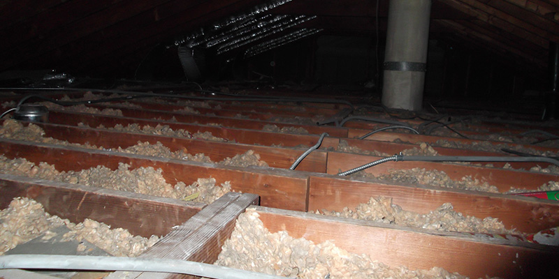 Attic Mold Remediation in La Grange, IL