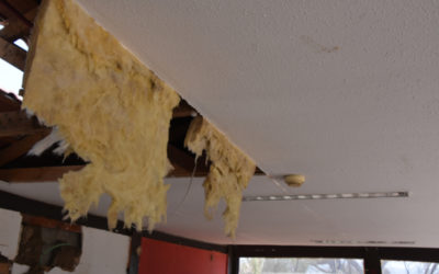 Which Insulation Services Do You Need?