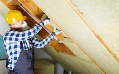 Why You Need Professional Insulation Removal