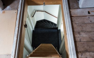 What Makes Attic Mold Removal Tricky?