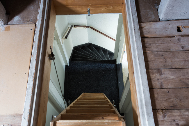 What Makes Attic Mold Removal Tricky?