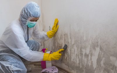 Make Your Home a Safer Space with Mold Remediation