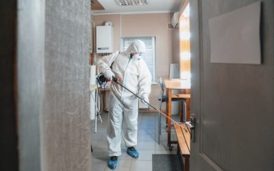 What Are The Most Important Parts of Mold Remediation?