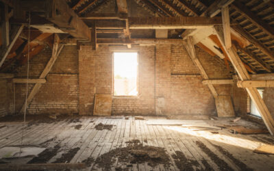 How Do You Get Rid of Mold in the Attic?